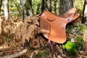 Selle Dollé Equina Acajou